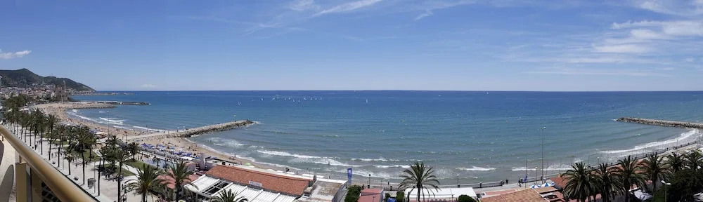 Estrella de Mar