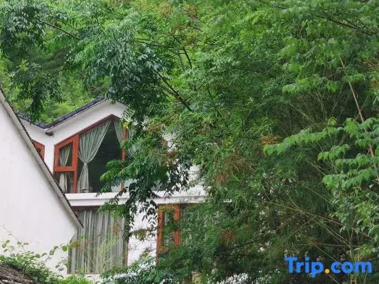 Yunque•Original Villa