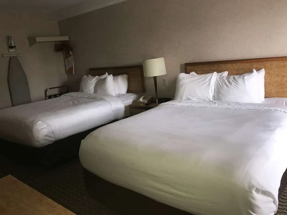 Comfort Inn Saint John