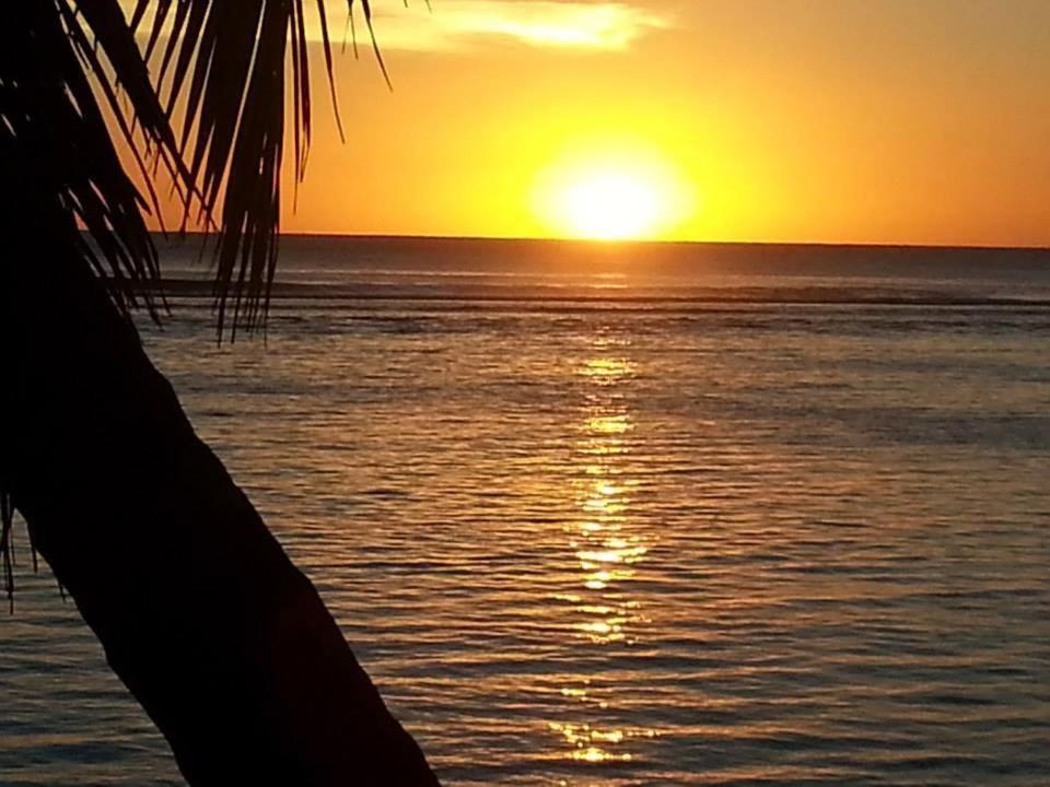 Sunset Palms Rarotonga