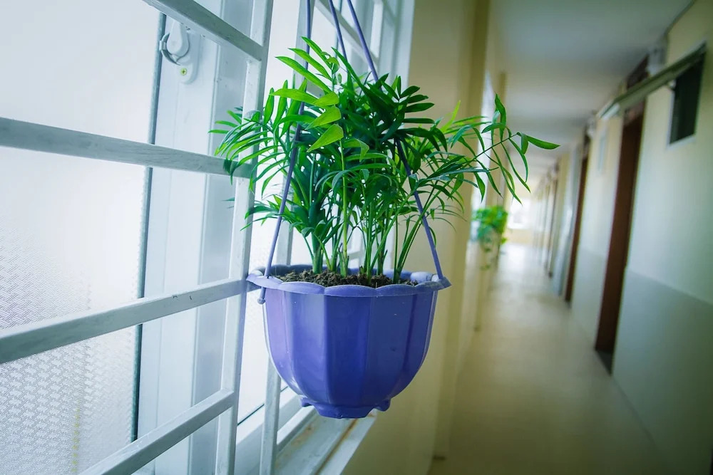 Phương Phương 2 Hotel