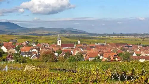 Gîte du Vignoble