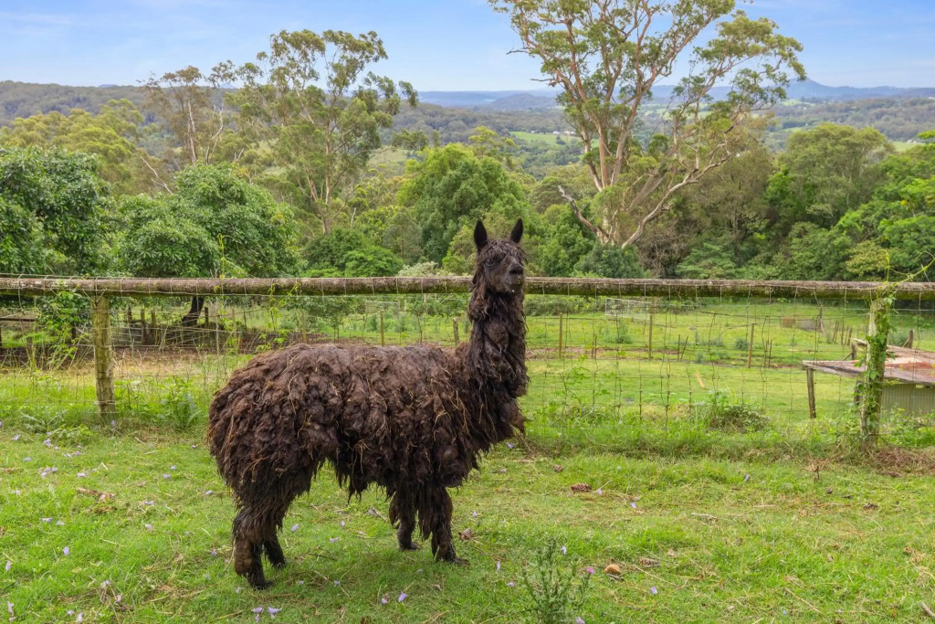 Serendipity Farm