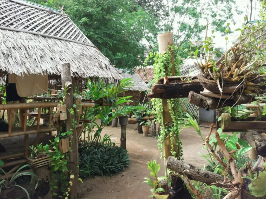 Jackie Bamboo House