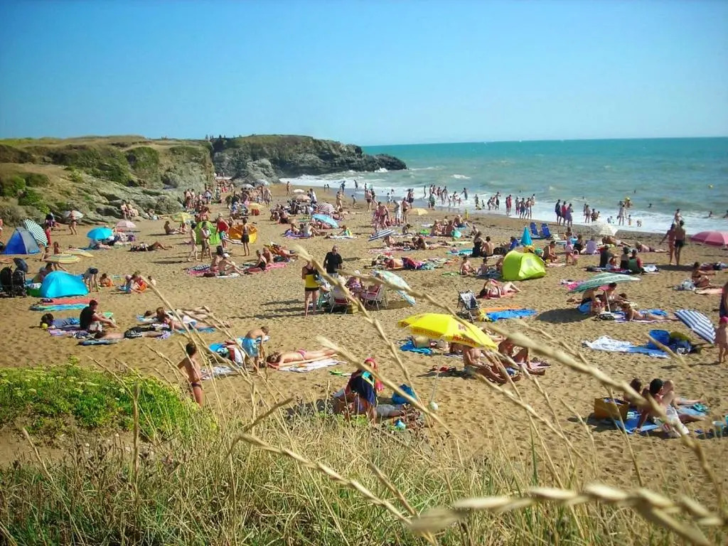 Appartement d'une chambre avec terrasse amenagee a Saint Hilaire de Riez a 1 km de la plage