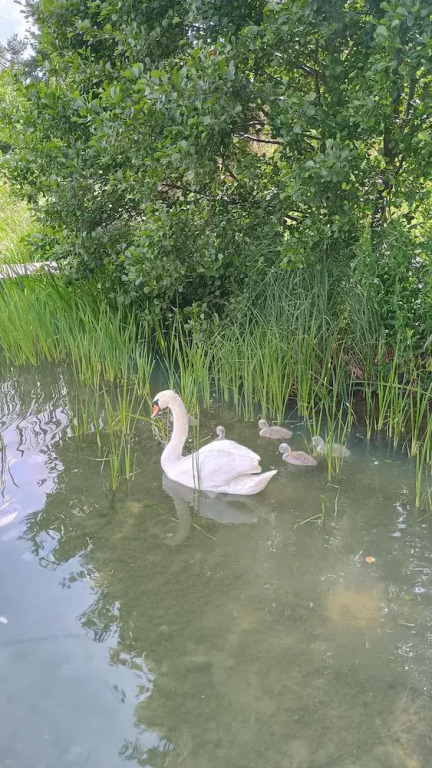 Holiday Home Near Lake Mausz, Kashubia