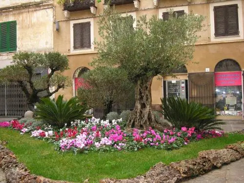 Centro Storico Carlo Alberto