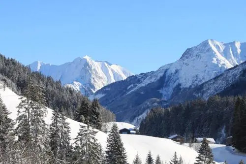WOLF RETREAT Apartments im Lechtal