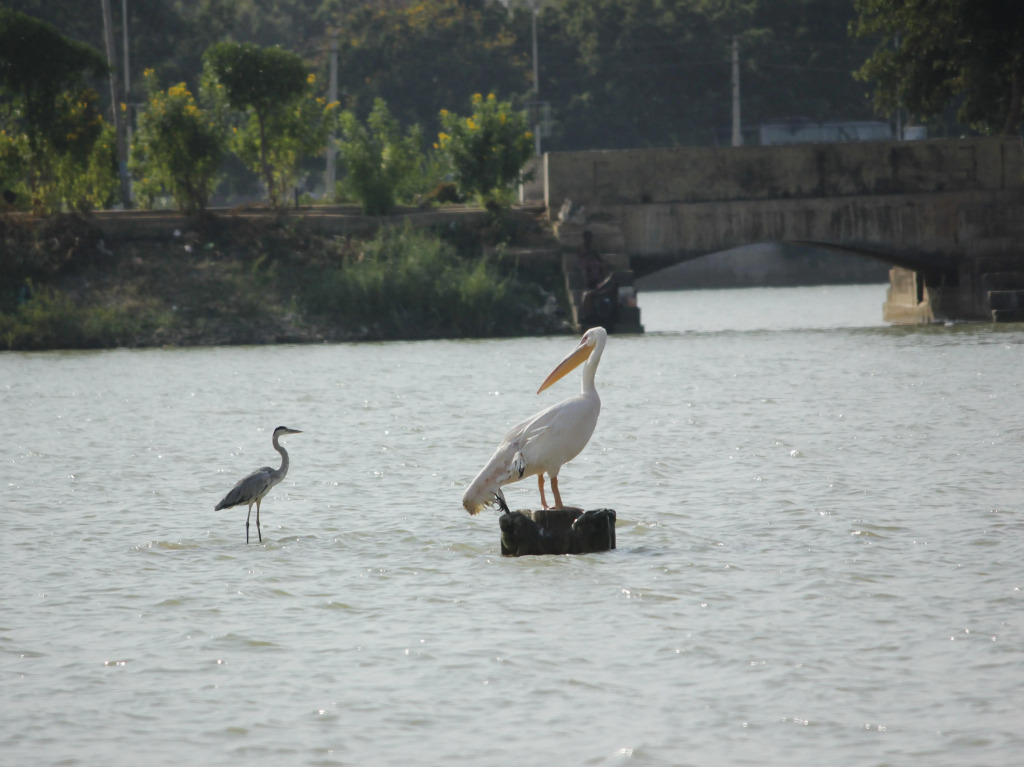 Hotel Shiv lake