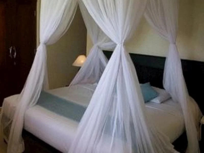 Mesui Home