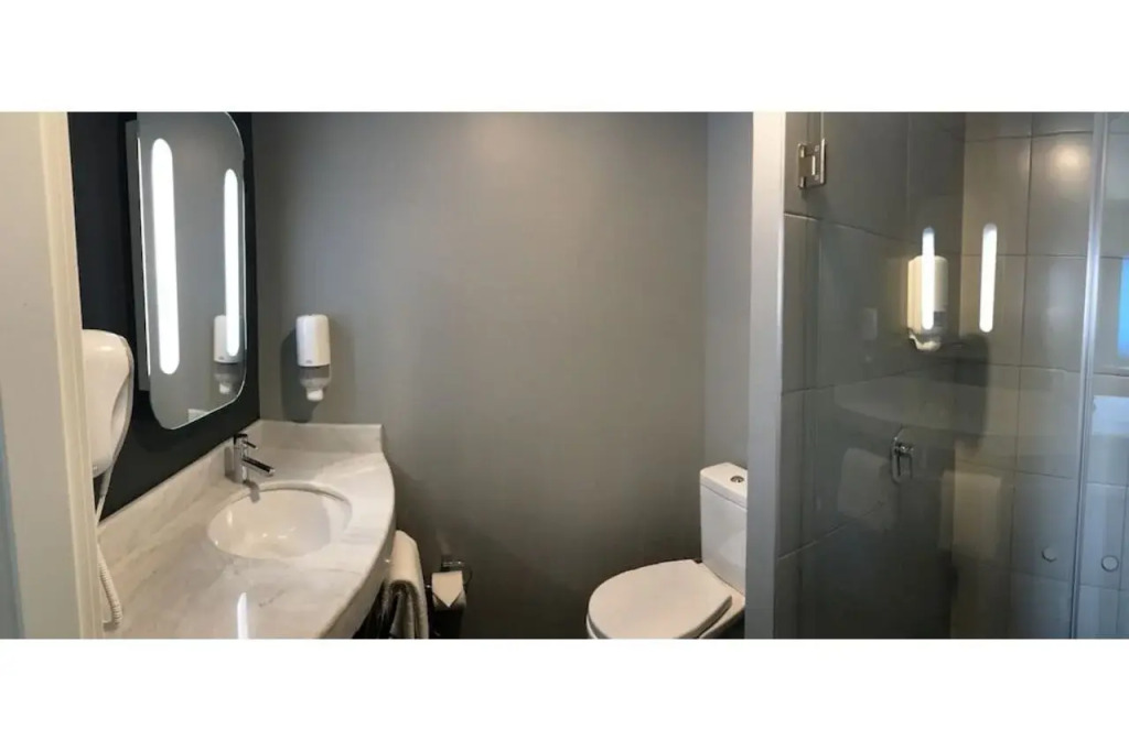 Ibis Irapuato
