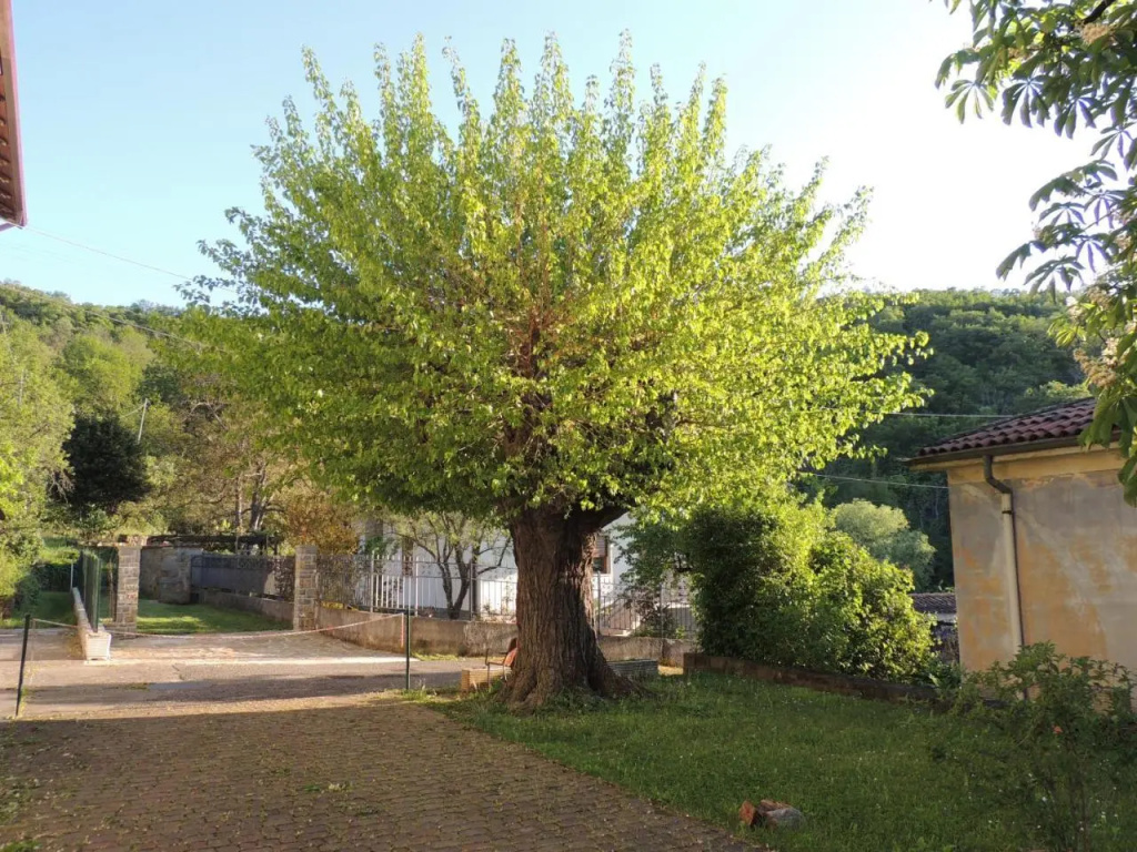 La casa di nonna Bruna