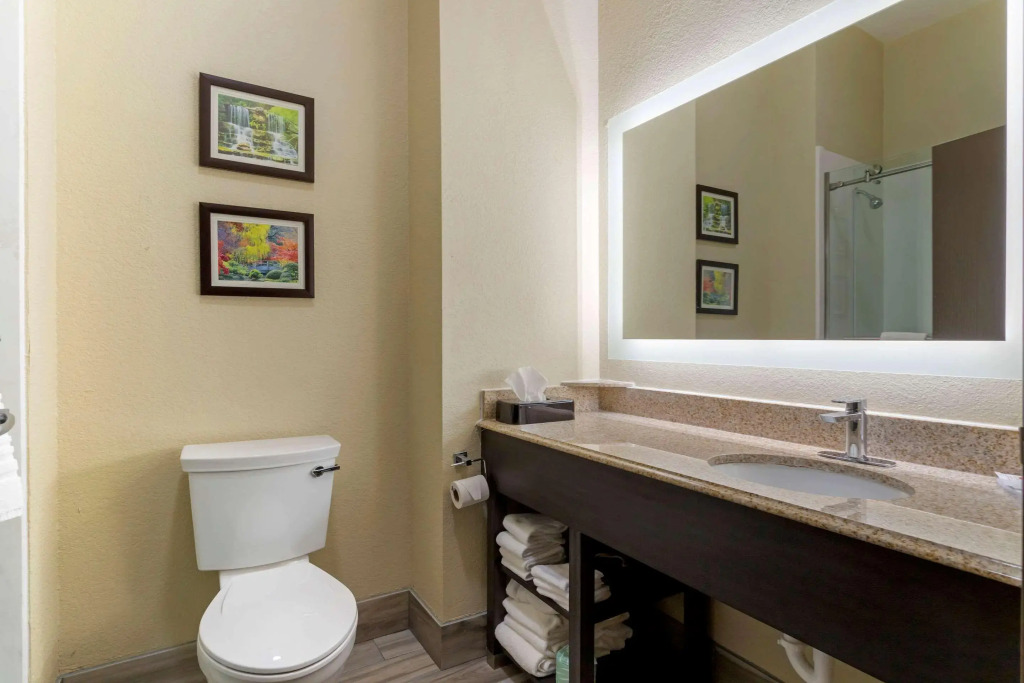 Comfort Suites Kingwood, Humble, New Caney, Houston IAH Airport