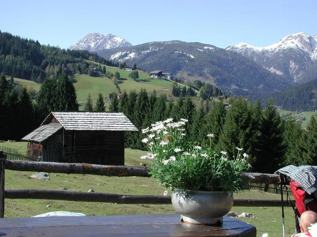 Stembergerhof - Urlaub am Bauerhof