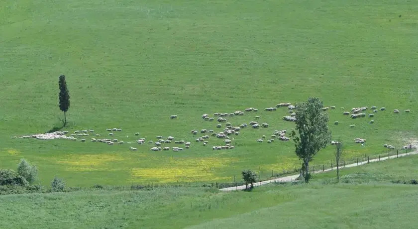 Il pollice verde