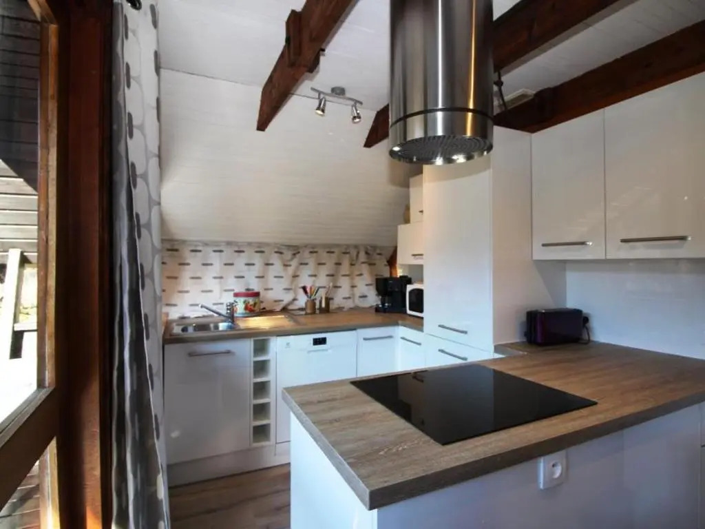 Chalet Mont-Dore 9 pers, cheminée, terrasse, WiFi - FR-1-608-88