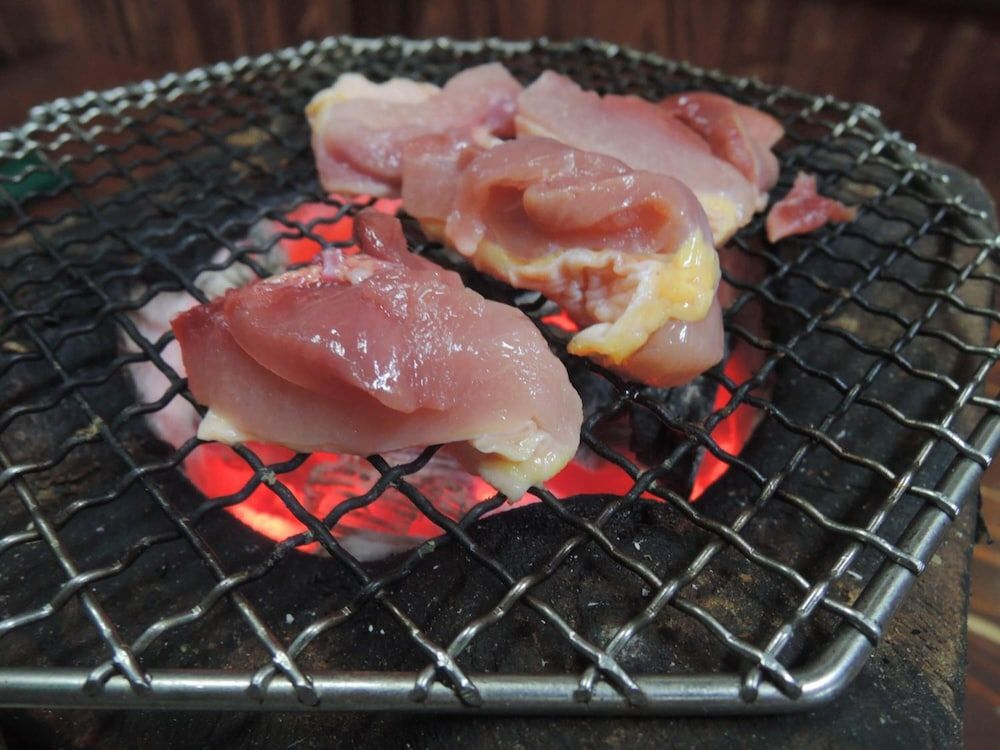 Mizuwake Minshuku Mura