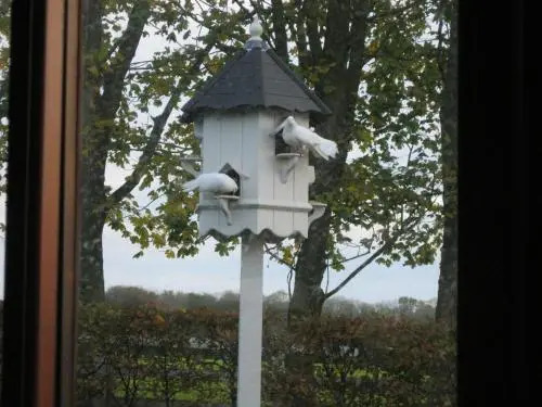 Rosebank Farm B&B