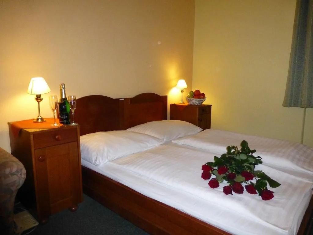 Hotel Korunni Princ