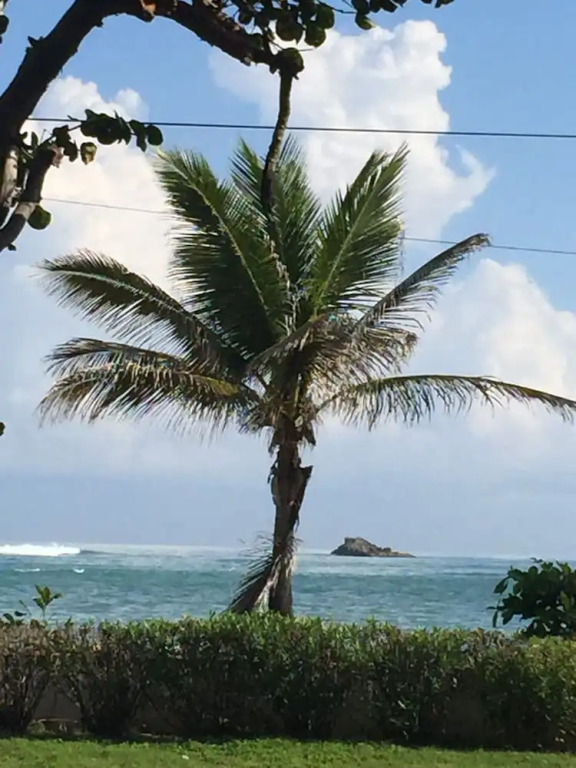 Oceanfront Dominican Republic - North