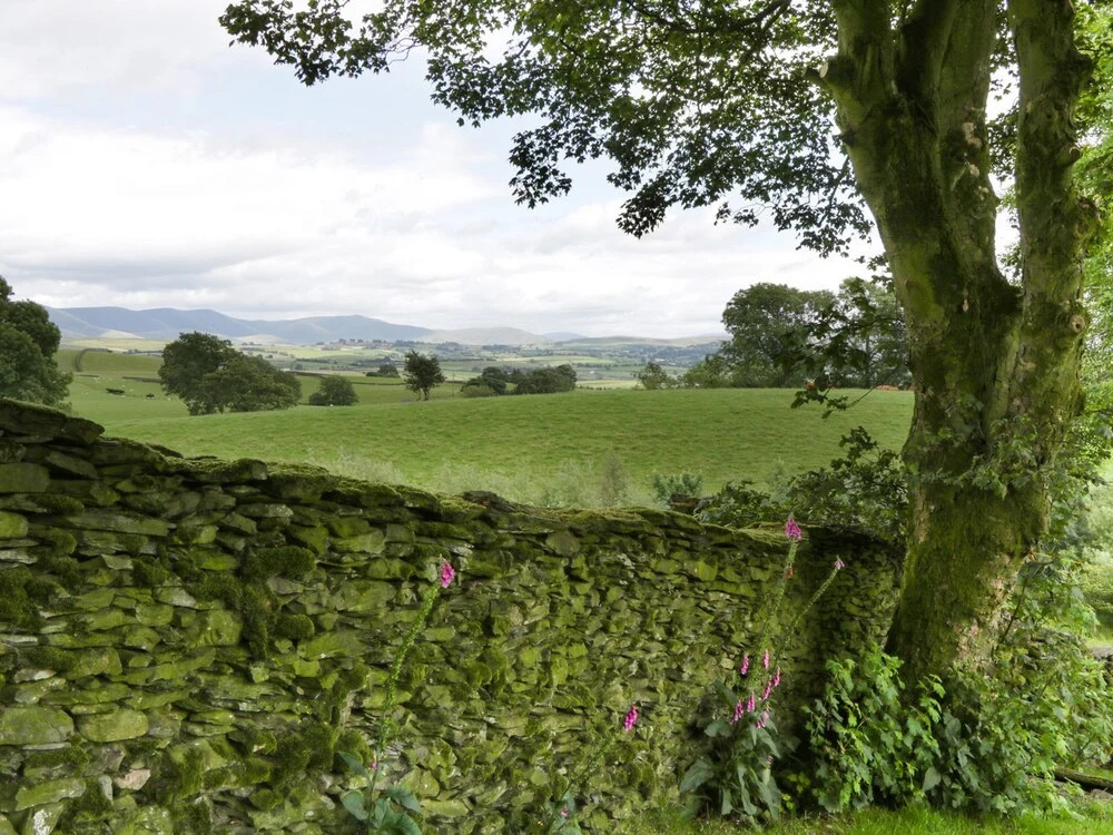 Longwell Cottage