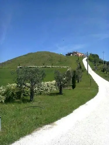 Ristorante Bed & Breakfast Colle Dei Falchi