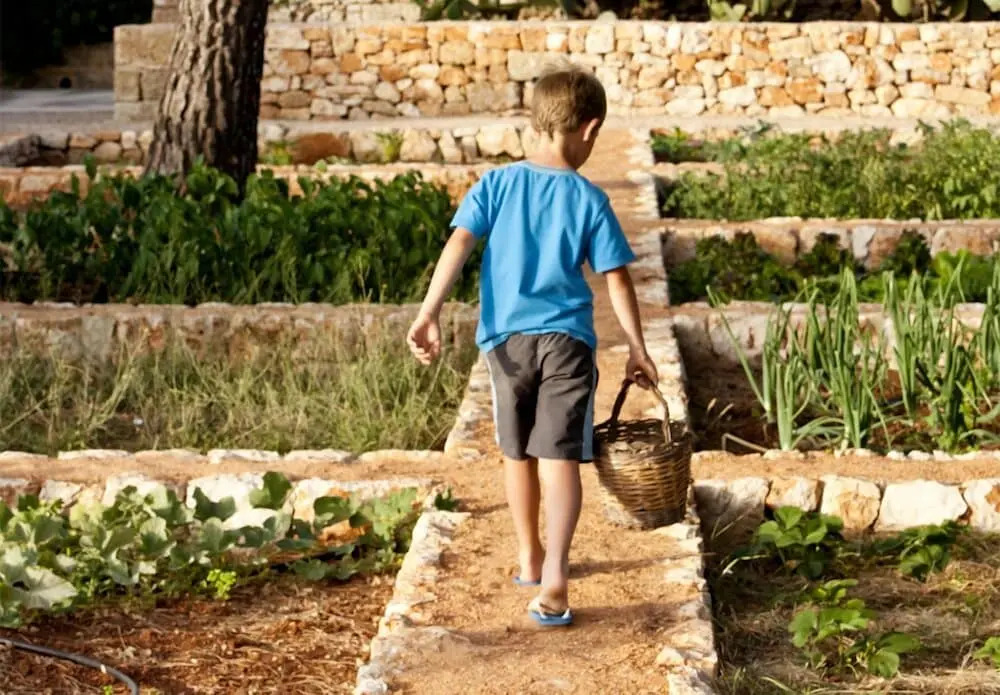 Agriturismo Masseria Gianferrante