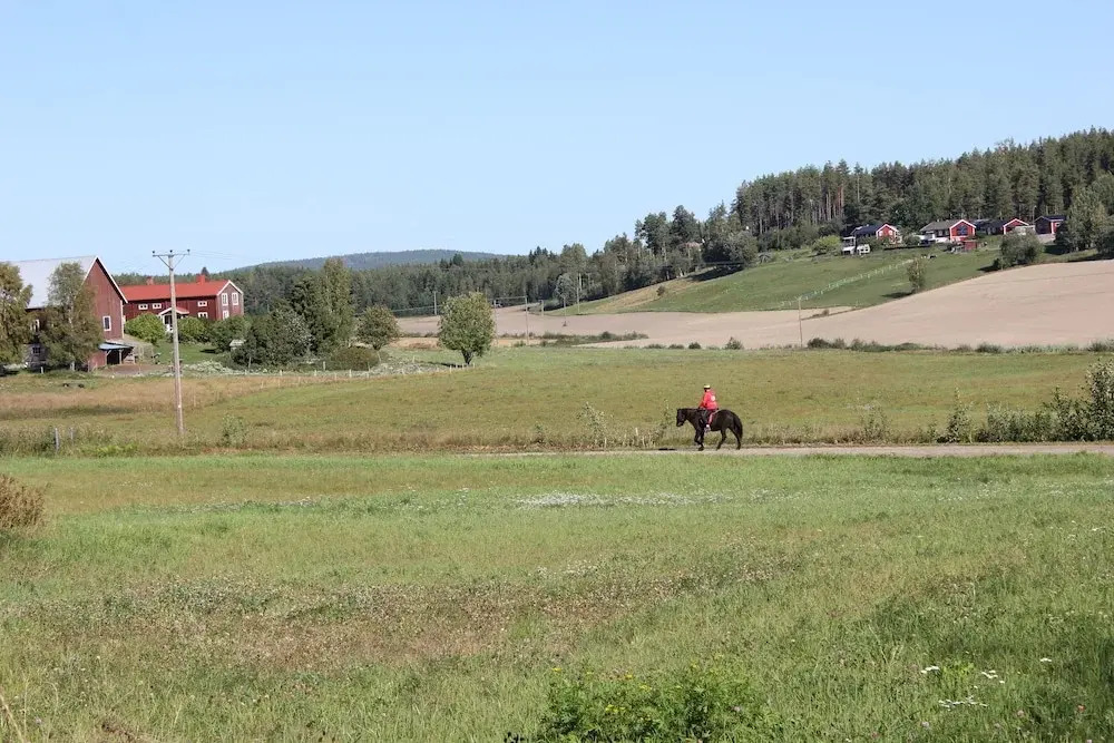 Happy Hudiksvall