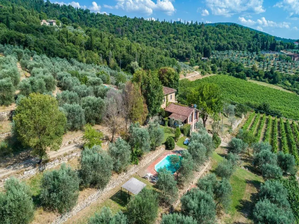 Villa Il Noce
