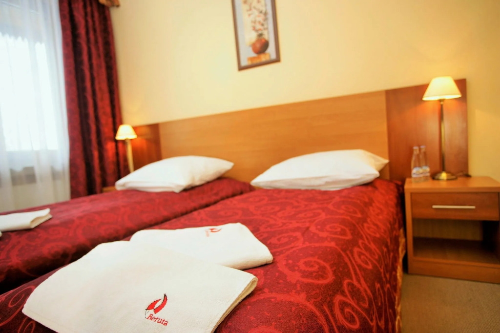 Hotel Boruta
