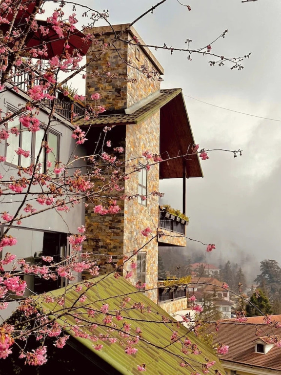Sapa Pine Hill Eco Lodge