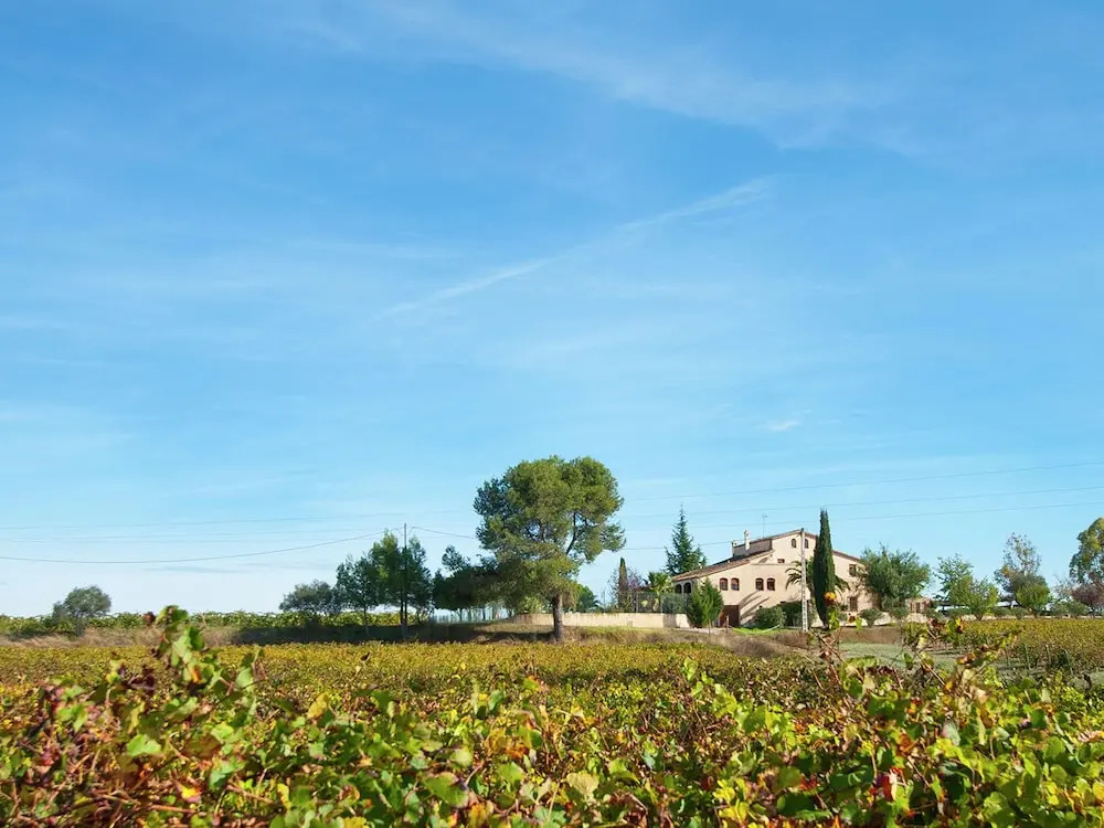 Elegant Cottage in Subirats With Rooftop Terrace