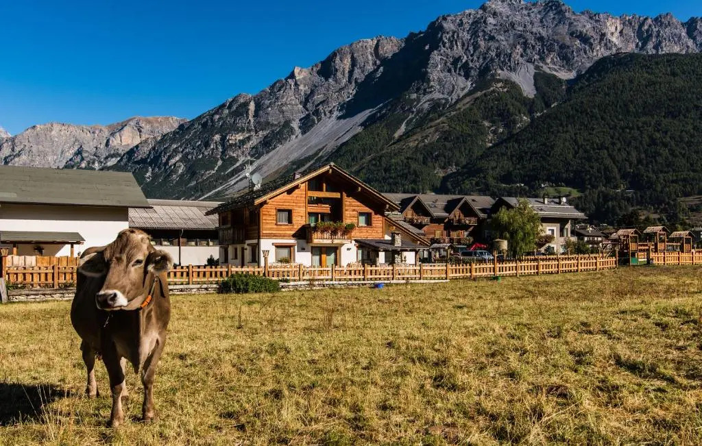 Agriturismo La Stalla