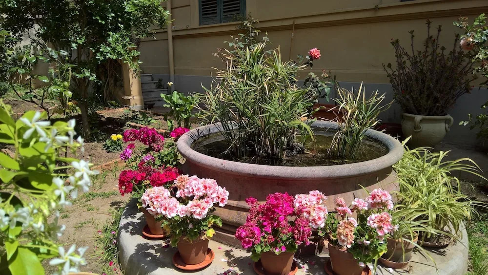 Le Rose del Viale B&B