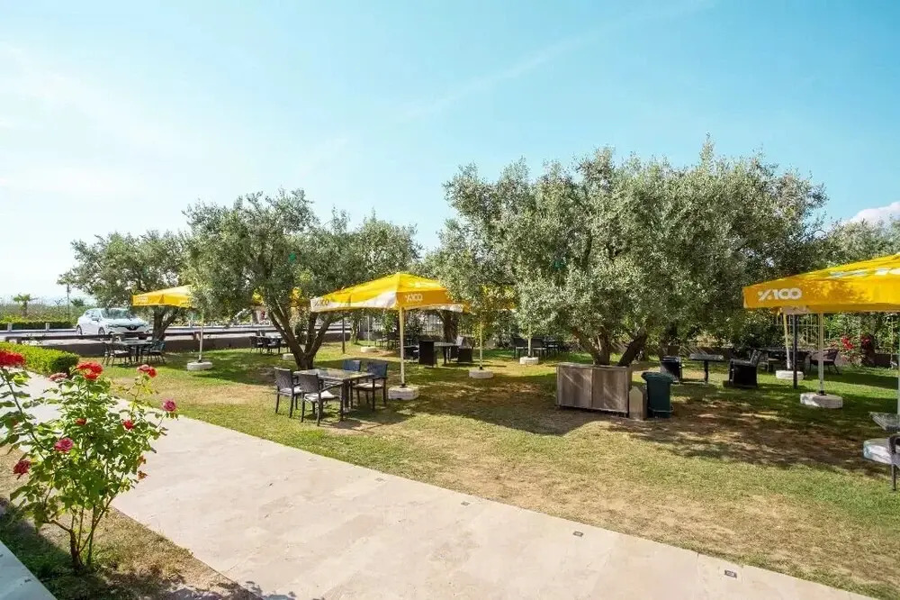 Olive Garden Hotel