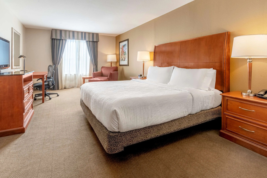 Hilton Garden Inn Houston/The Woodlands