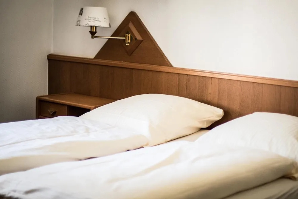Hotel Alscher