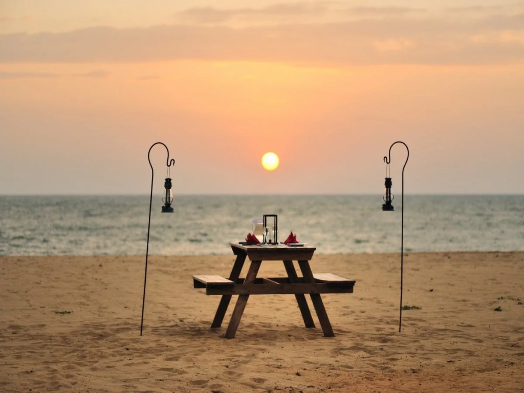 Dolphin Beach Resort - Dolphins, Kitesurfing & Wildlife