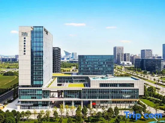 Four Points by Sheraton Wuhan Optics Valley Convention and Exhibition Center