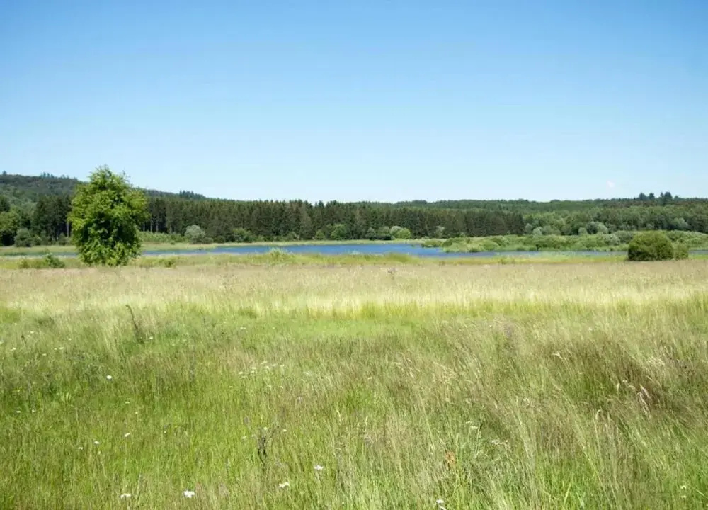 Eifel Retreat Near Volcanic Lakes