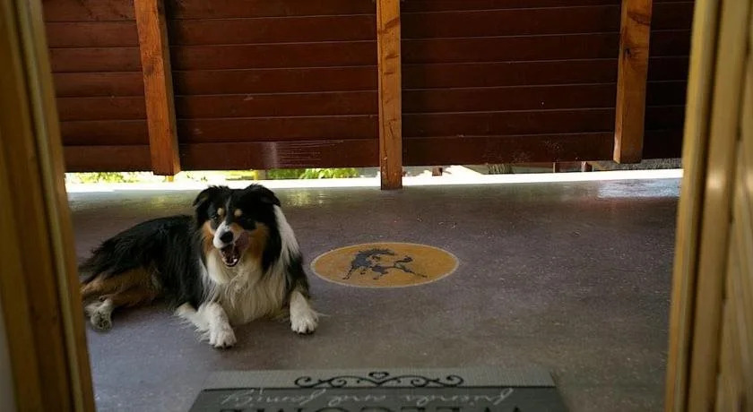 El Bronco Western Ranch