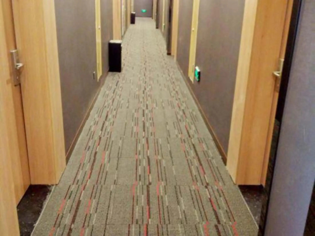 Shankee Chain Hotel (Shanghai Sheshan Business Center)