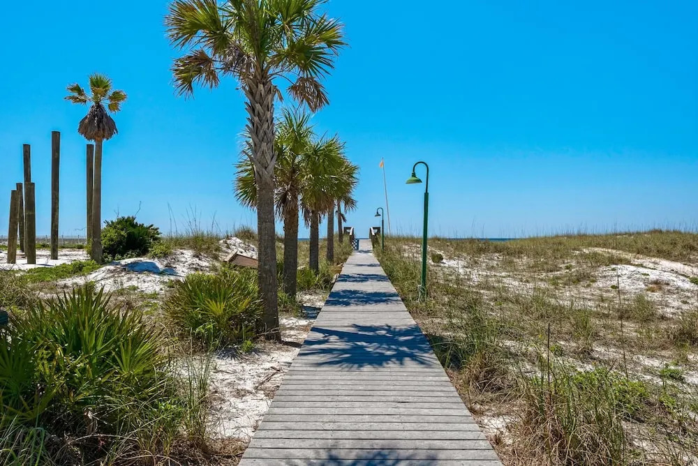 Dolphin Point #602a