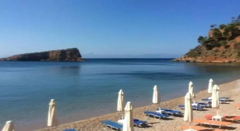 Dimitrios Gkioulis