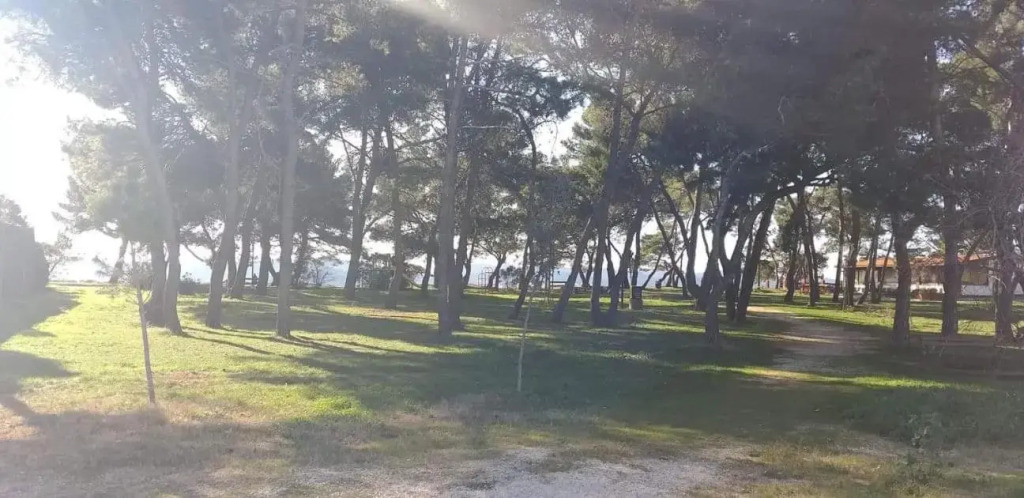 Apartman Petar