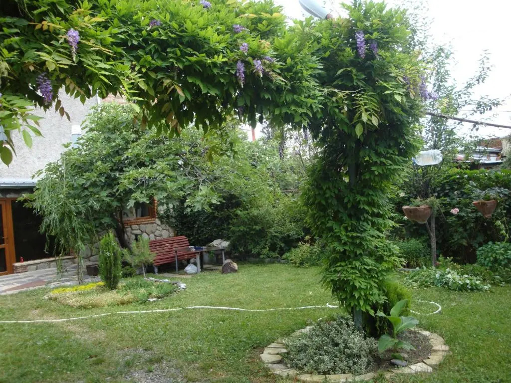 Tamari Guest House