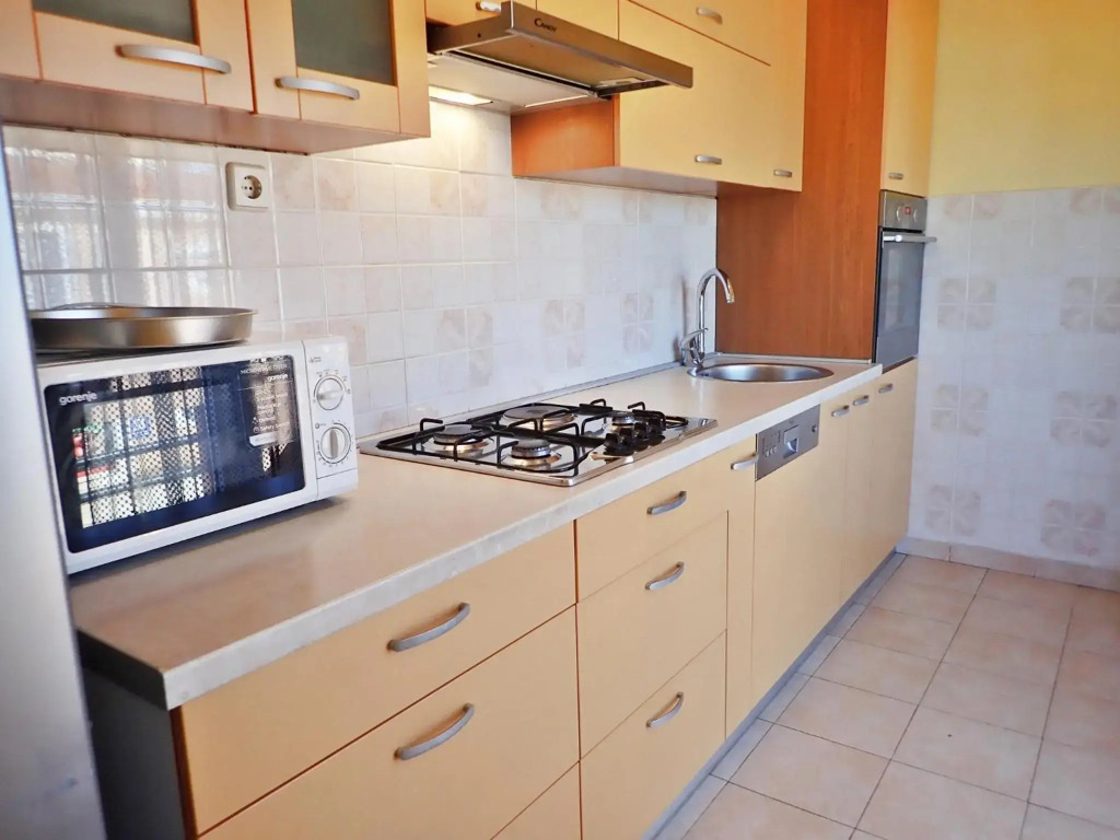 Apartment Putnik