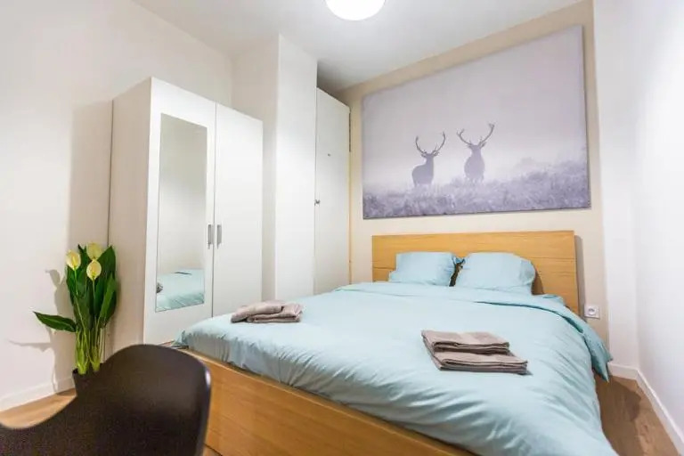 Bel appartement Type T3 refait a neuf