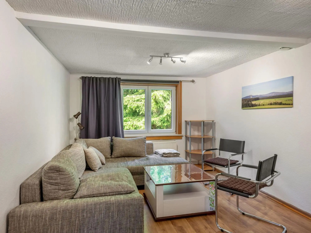 Wohnung in Benneckenstein Nahe Skilift