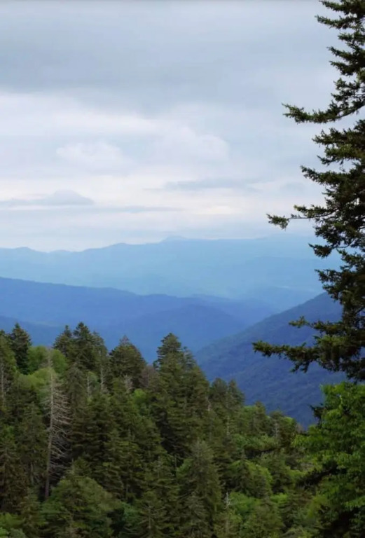 Modern Style 2 Bed Condo Pool in Gatlinburg